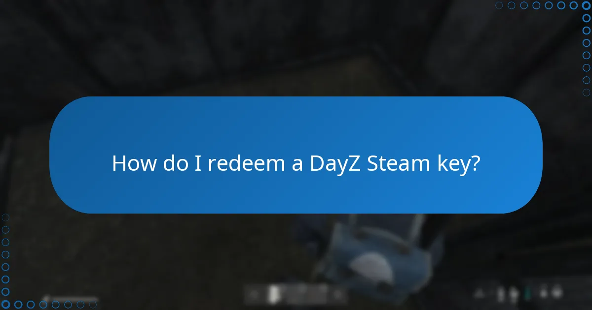 Where can I enter my DayZ Steam key?
