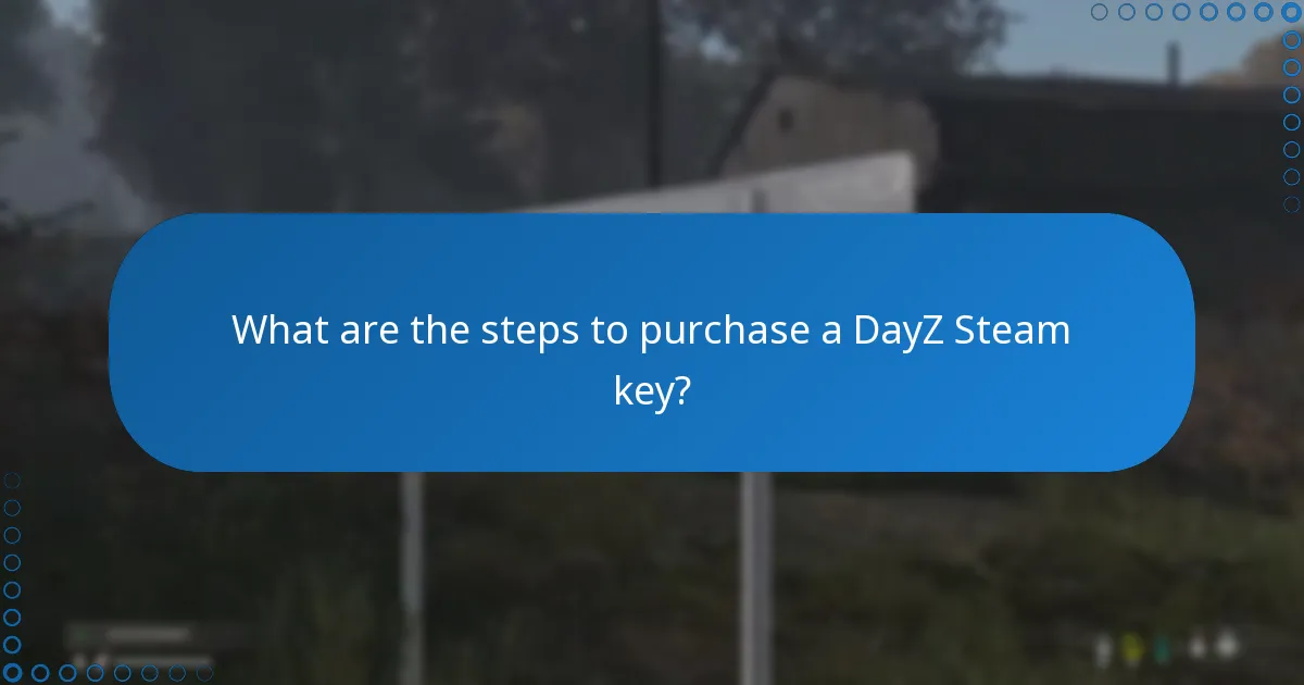 What are the risks associated with purchasing a DayZ Steam key?